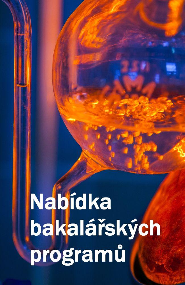 Bakalářské programy, které nabízíme