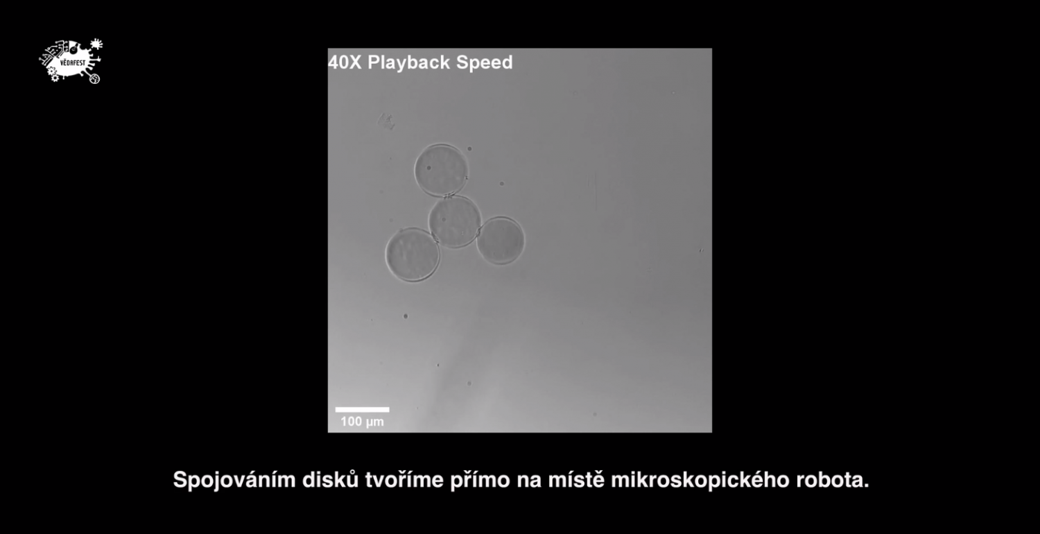 VědaFest Online 2021