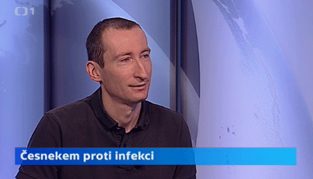 Česnekem proti infekci