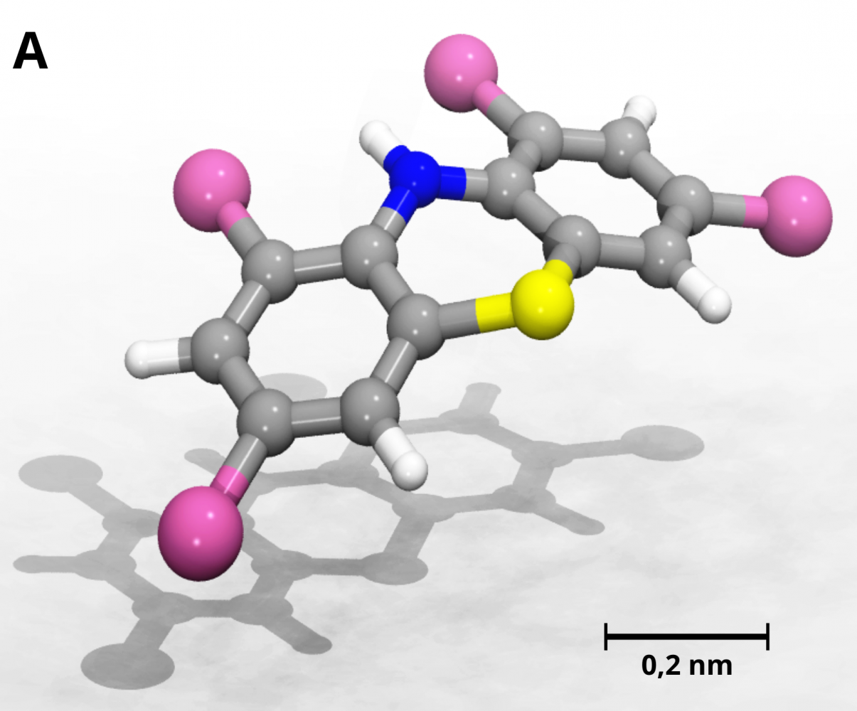 Polyhalogenated phenothiazines to fight tuberculosis