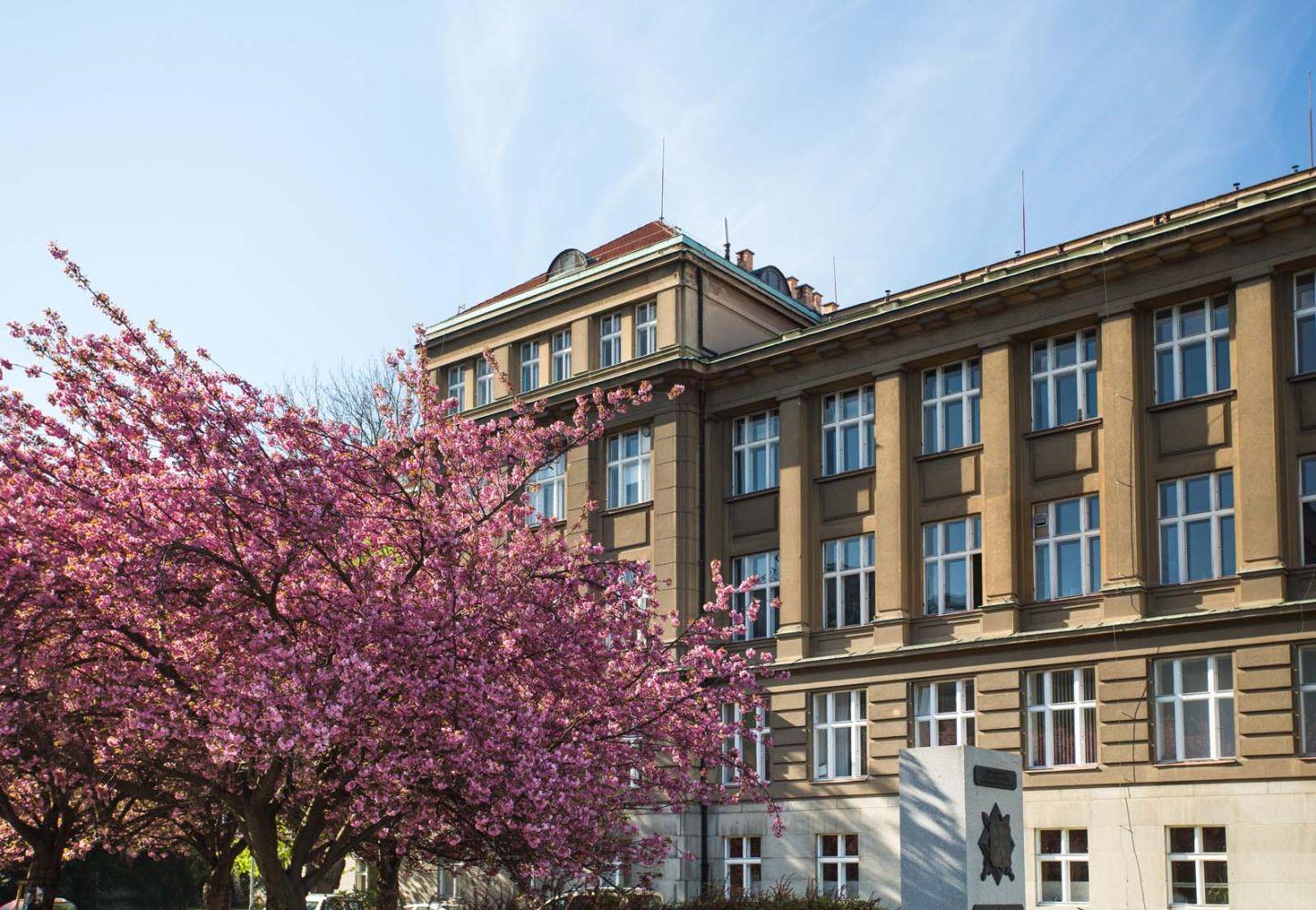 About the Faculty of Chemical Engineering