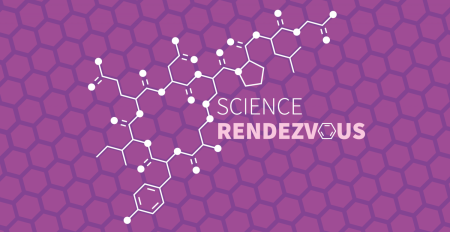 rendezvous - web - novinka - 2020