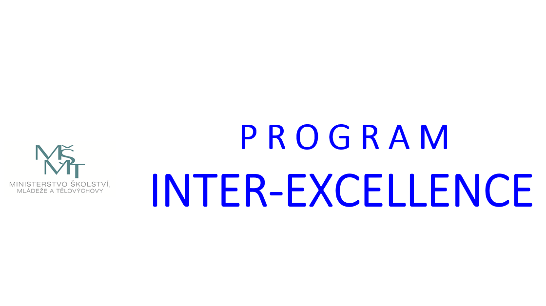 Program-inter-excelence